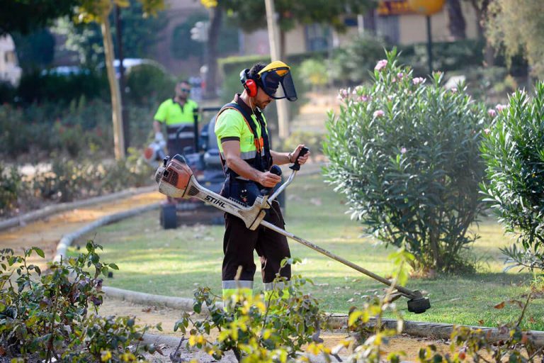 El Mantenimiento De Las Zonas Verdes Y Jardines En Su Empresa 0746